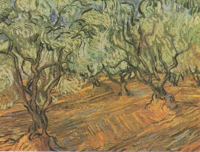 Olive Grove with Blue Sky by Vincent van Gogh